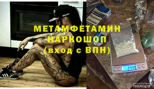 стаф Ельня