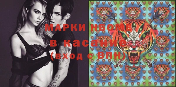 стаф Ельня