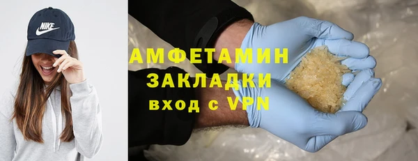 стаф Ельня