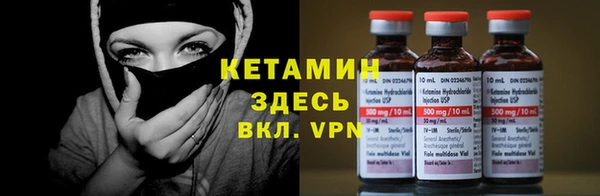 стаф Ельня