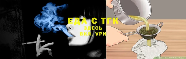 стаф Ельня