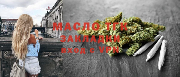 стаф Ельня