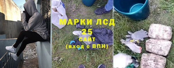 стаф Ельня