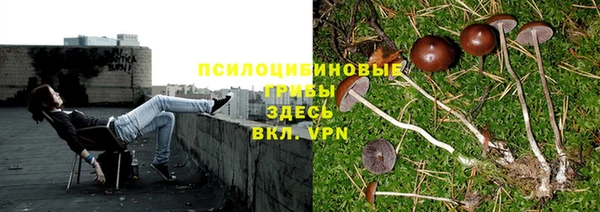метадон Елабуга