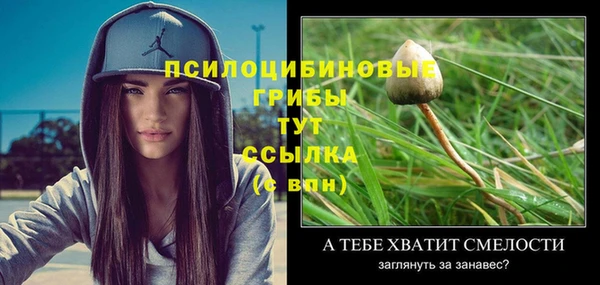 кристаллы Елизово