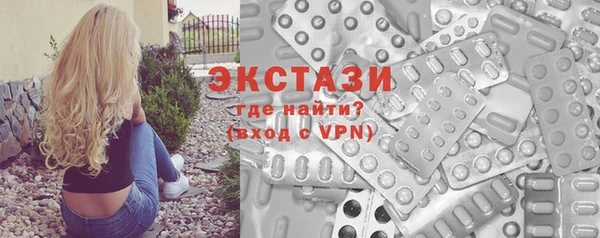стаф Ельня