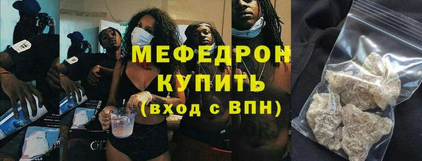 стаф Ельня