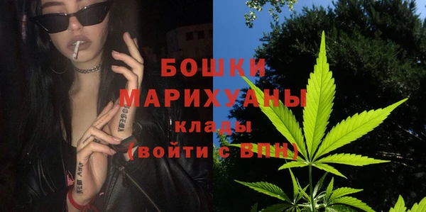стаф Ельня