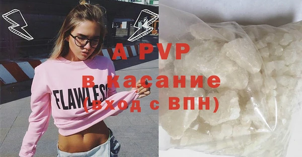 стаф Ельня