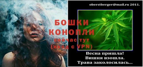 стаф Ельня