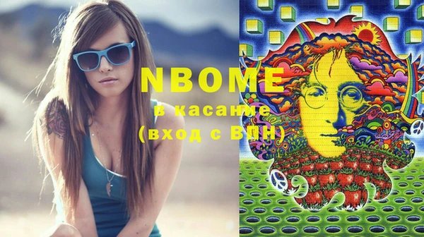 стаф Ельня
