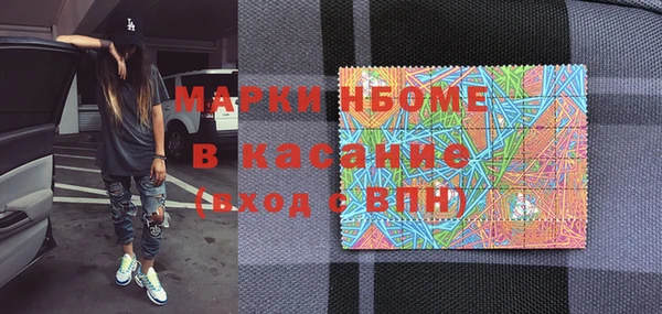 стаф Ельня