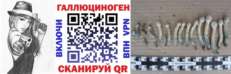 Псилоцибиновые грибы прущие грибы  Купить  Жигулёвск 
